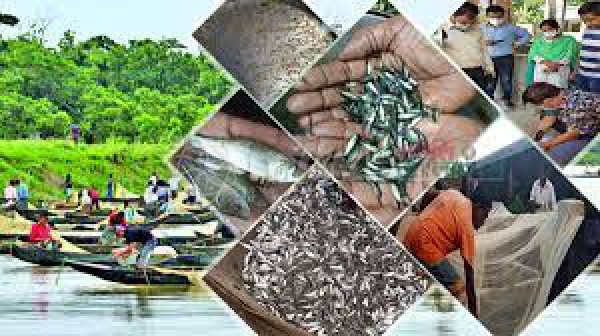 Halda Fisheries Research