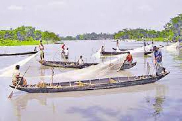 Halda Fisheris Limited