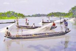Halda Fisheris Limited