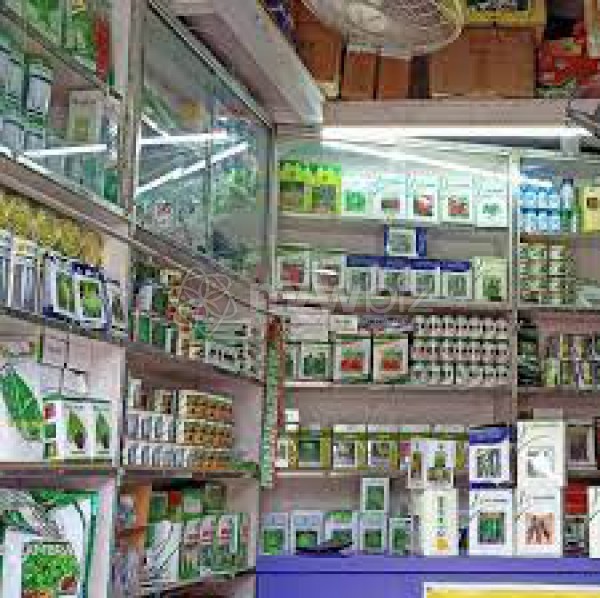 Haque Seed Store