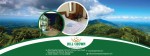 Hill Crown Hotel and Resort