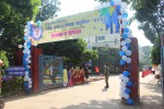 International Nursing College