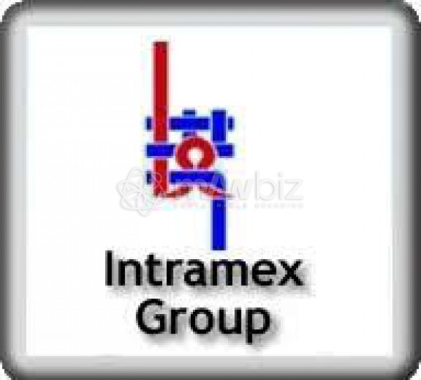 Intramex Group