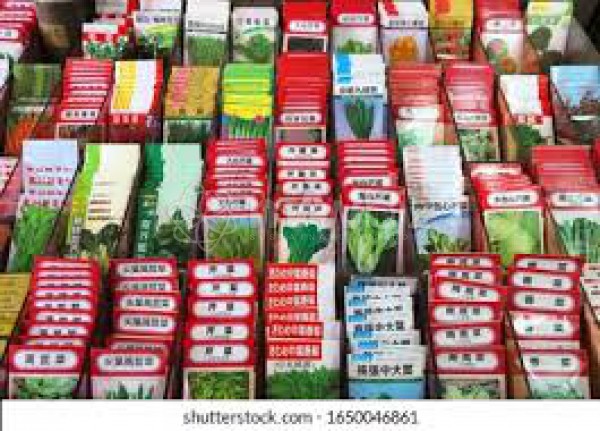 Jakir Seed