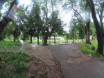 Jarina Park