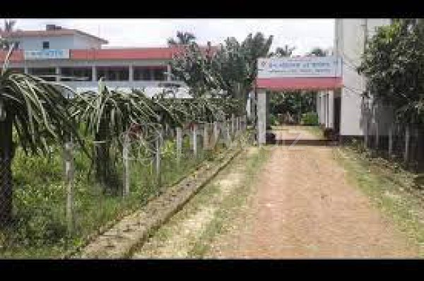 Jhelanja Seed Production Farm