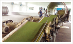 Kazi & Kazi Tea Estate Ltd.