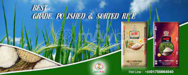 Kazi Rice