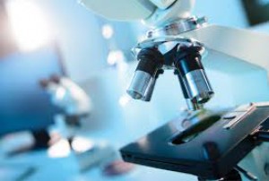 Lab Services - Praava Health