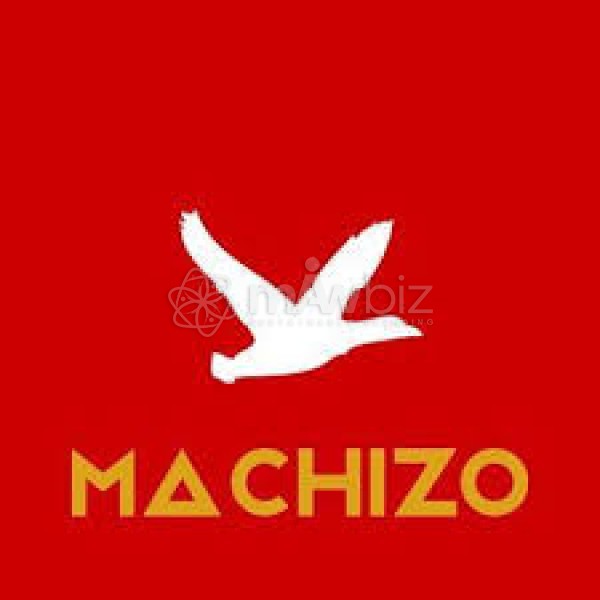Machizo Multimedia
