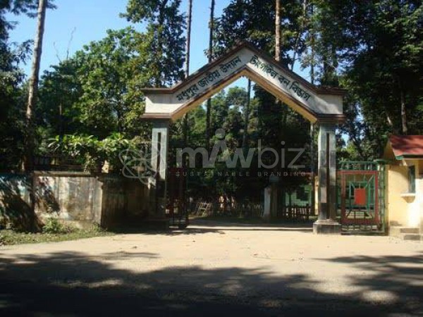 Madhupur National Park