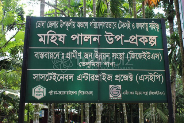 Mahish Palaon Upo Prakalpo -GJUS(Bhelumia)