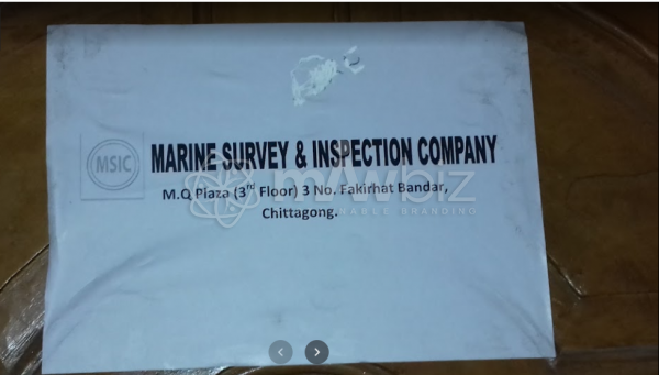 Marine Survey & Inspection Company