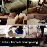 Max Enterprise(Sofa and Carpet...