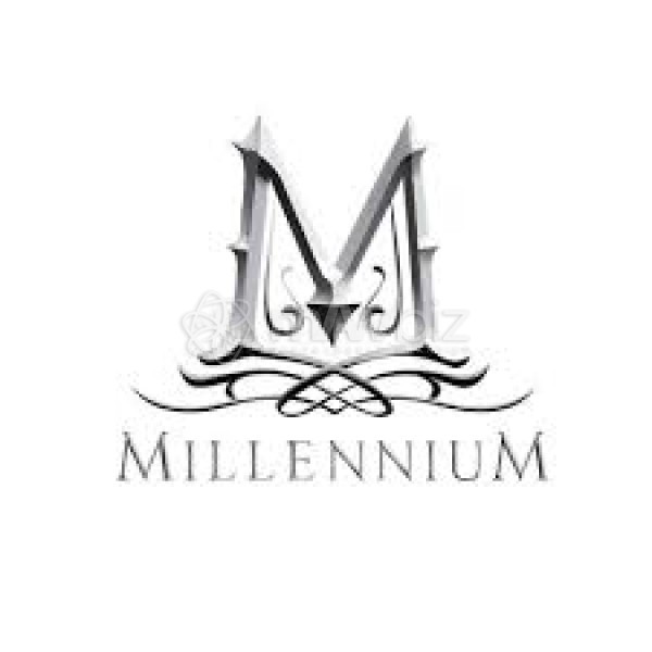 Millennium Service Center Limited