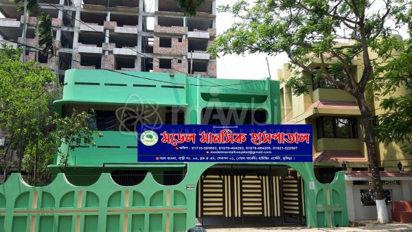 Model Mental Hospital