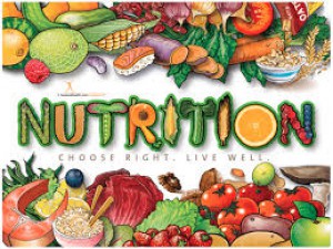 Nutrition - Praava Health