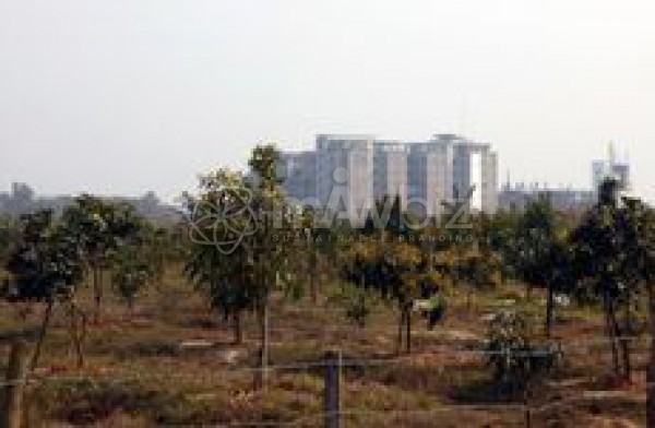 Neptune Land Development Ltd