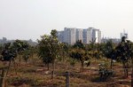 Neptune Land Development Ltd