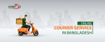 Next Courier Limited