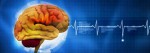 Neurosurgery - Crescent...
