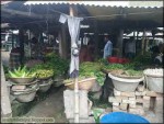 Panchgachia Bazar