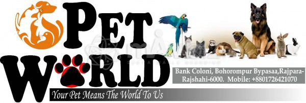 Pet World Rajshahi