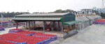 Promita Oil and Gas Limited