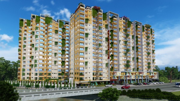 Raskin Properties Ltd.