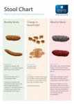 STOOL TEST-GULSHAN CLINIC LTD