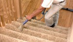 Safe Cleaning Pest...