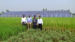 Salek Solar Power Limited