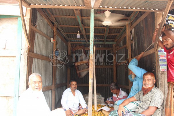 Salim Traders