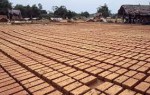Sara Bricks Ltd.