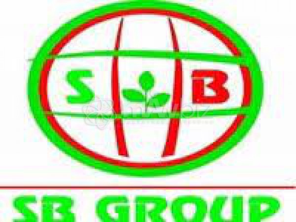 SB GROUP