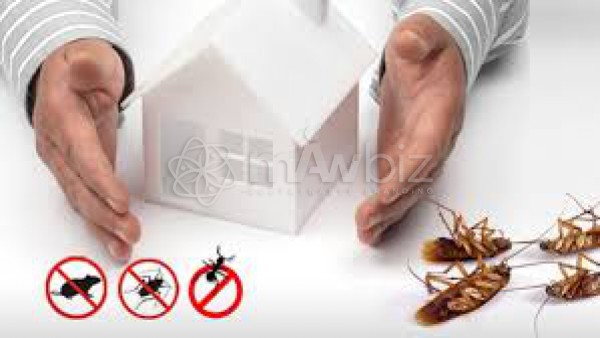 Sheba XYZ(Pest Control)