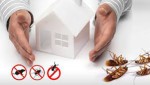 Sheba XYZ(Pest Control)