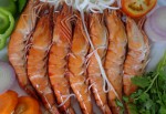 SHRIMPS BANGLADESH