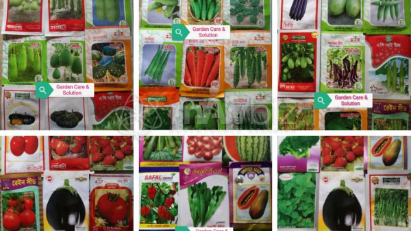 Siddik Bazar Seed Market
