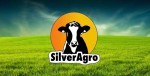 Silver Agro Food Cold Storage...