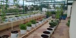 Smart Garden