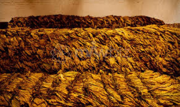 Sonali Tobacco Products