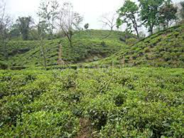 Square STCL, Sylhet