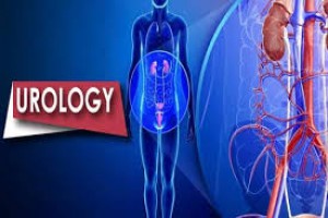 Urology - Ad-din Hospital