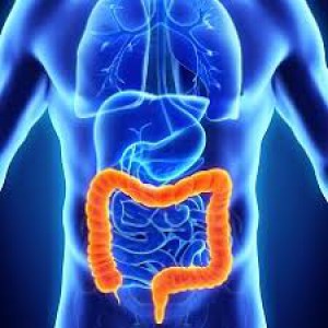 Colorectal-Eden Multi-Care Hospital