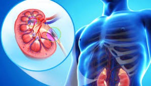 Nephrology - Central Hospital Ltd