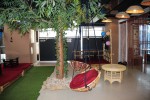 More Images