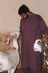 More Images