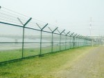 More Images