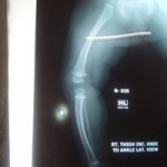 More Images